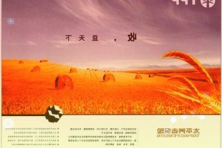 双良节能近一年砸2000亿采购硅料