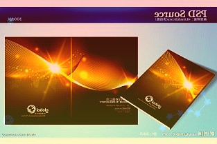 东华科技：目前本公司未设立西藏东华公司也未开展巡检机器人系统项目